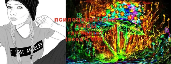 прущая мука Абаза