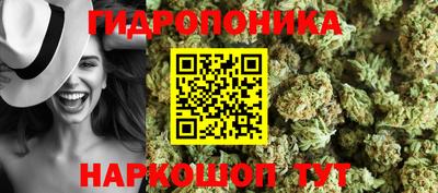круглые Новокубанск