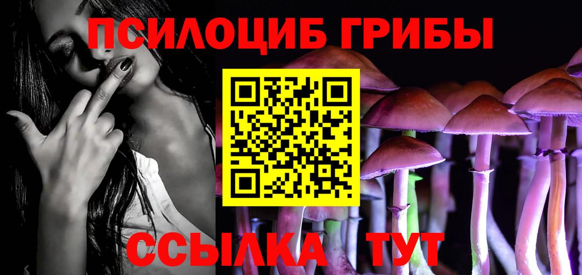 Псилоцибиновые грибы Magic Shrooms  Вход с VPN  Норильск 